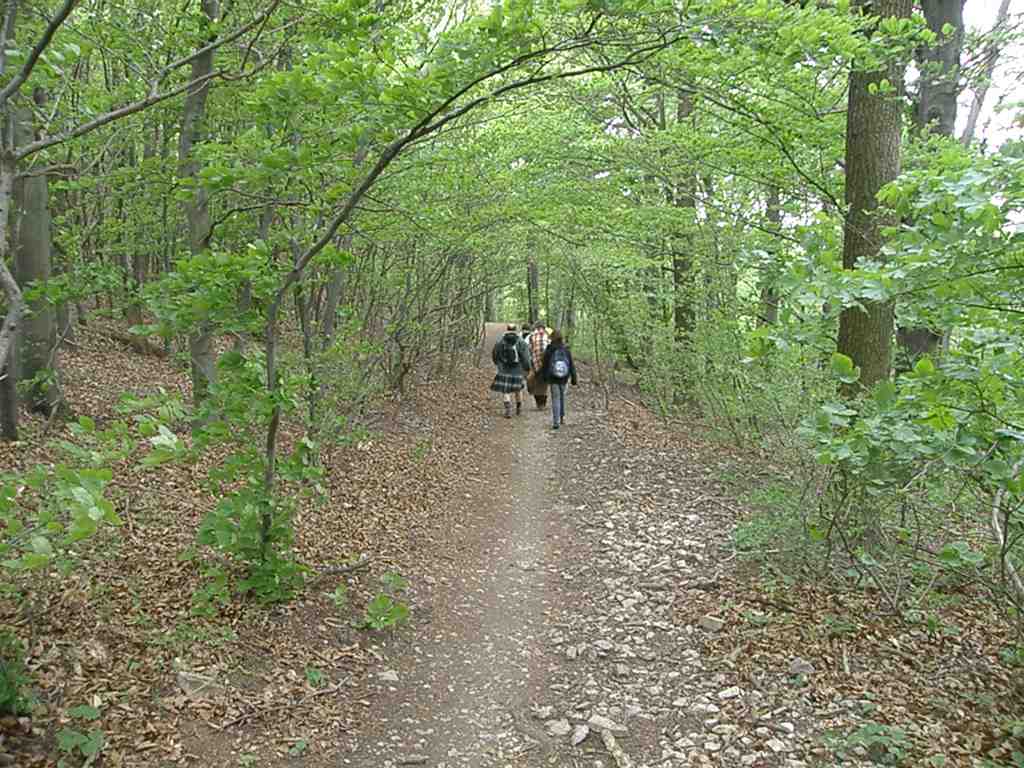 Beltane im Wienerwald