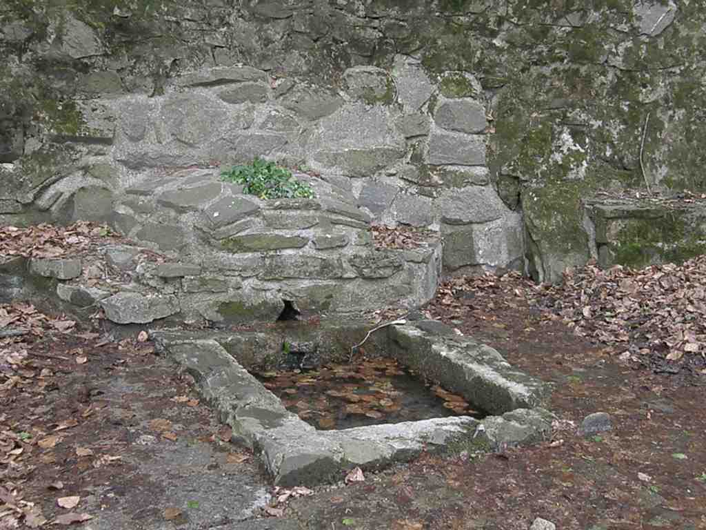 Beltane im Wienerwald