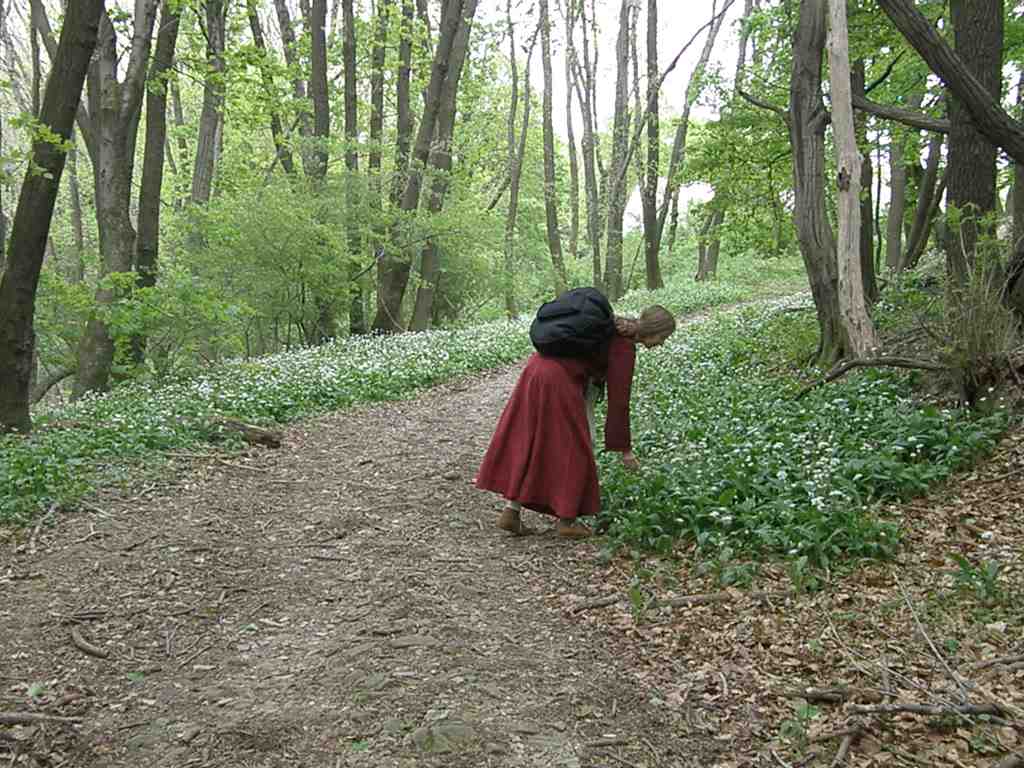 Beltane im Wienerwald