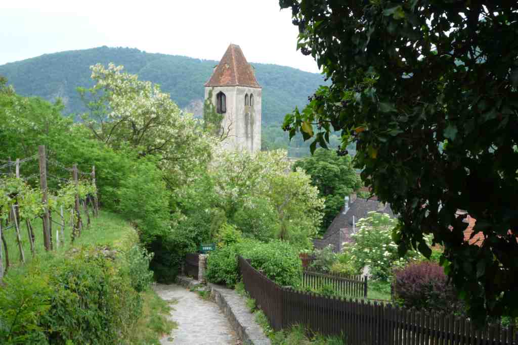 2011-05-15 Dürnsteinwanderung